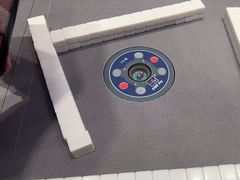 -金色希望596