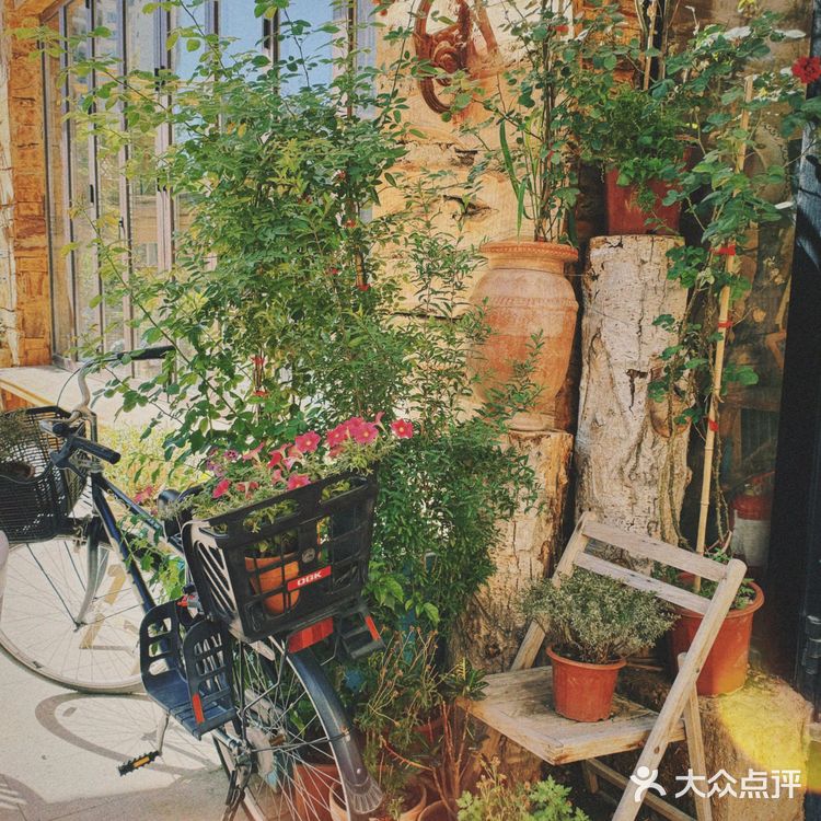 藏在乌鲁木齐老巷的宝藏咖啡馆