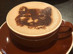 -猫友咖啡店(玉林西路店)