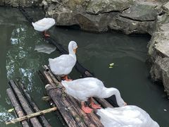 -兰亭风景区