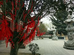 -西安青龙寺遗址景区