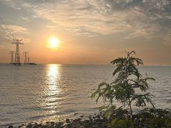 -宝安西湾红树林湿地公园