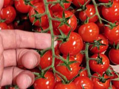 -AEON永旺(东方宝泰店)