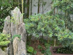 -上海醉白池公园