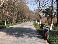 -紫霞湖公园