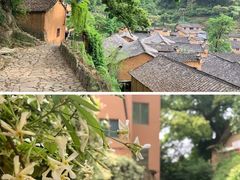 -杨家堂村