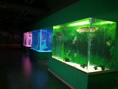-常州海昌海洋探索馆
