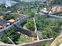 -西霞口神雕山野生动物世界