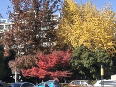 -浙江大学(紫金港校区)