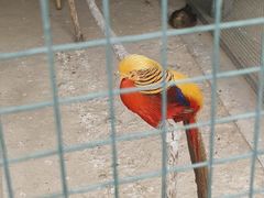 -森林公园(尖草坪区)