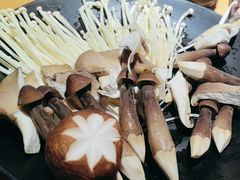-捞围鲜·港式打边炉(海阳路店)