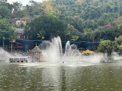 -西双版纳原始森林公园