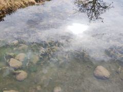 -玉龙雪山游客服务中心