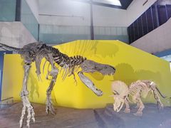 -湖南省地质博物馆