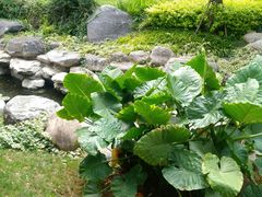 -青和小锅米线(翠湖店)