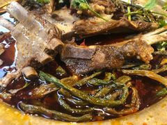 -友乐居羊蝎子(西直门店)