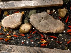 -南堂館川菜文化餐厅(天府店)