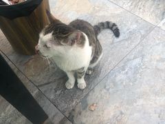 -大锅强·蒸海鲜青岛菜(吾悦广场店)