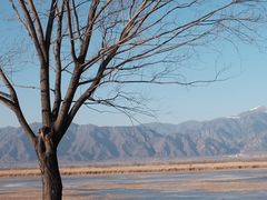 -野鸭湖国家湿地公园