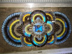 -上海昆虫博物馆