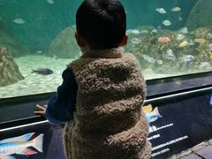 -江和美海洋公园
