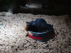-顺德南宏海立方海洋公园
