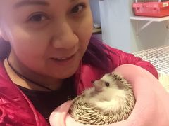 -藦茜花园宠物主题亲子互动体验馆(国顺东路店)