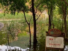 -灵溪风景区