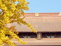 -苏州文庙(姑苏区)