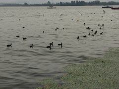 -西昌邛海宾馆