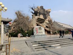 -大槐树寻根祭祖园