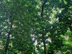 -华南国家植物园-售票处