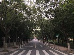 -八大关景区