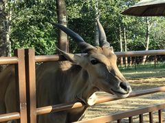 -大连森林动物园