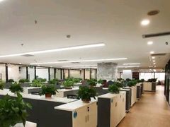 -广东泽正律师事务所