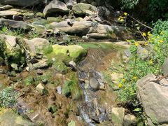 -南山植物园