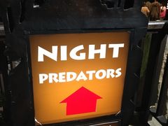 -清迈夜间动物园