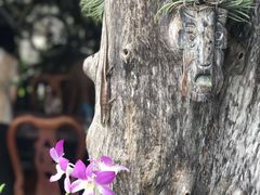 -自然餐厅(Phuket)