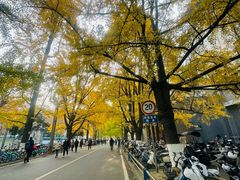 -四川大学(华西校区)