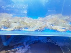 -船梆煮•蒸汽海鲜·生腌干蒸(五四广场店)