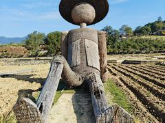 -福建土楼（华安）旅游区•大地土楼群