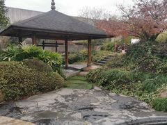 -航空小镇温泉