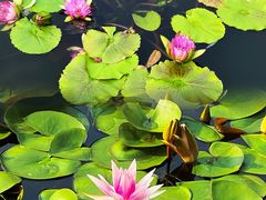 -国家植物园南园