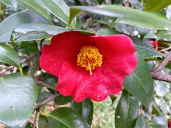 -杭州半山国家森林公园