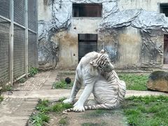 -黔灵山公园