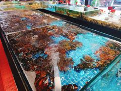 -苏先生海鲜渔庄(金桥店)