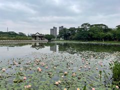 -松山湖风景区松湖烟雨