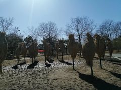 -大兴滨河森林公园