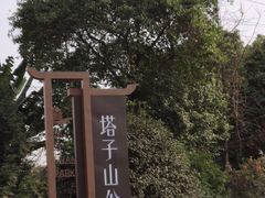 -塔子山公园