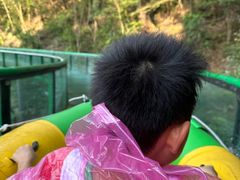 -千岛湖天屿景区